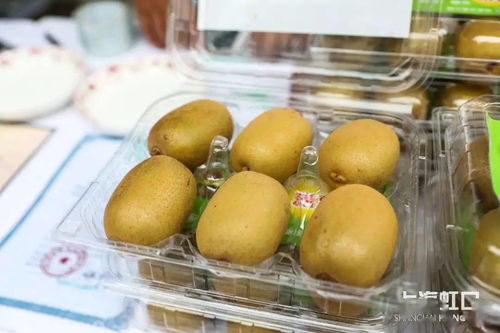 助力脫貧攻堅，品味地道風物——魯迅公園特色農產品直銷活動正式啟動